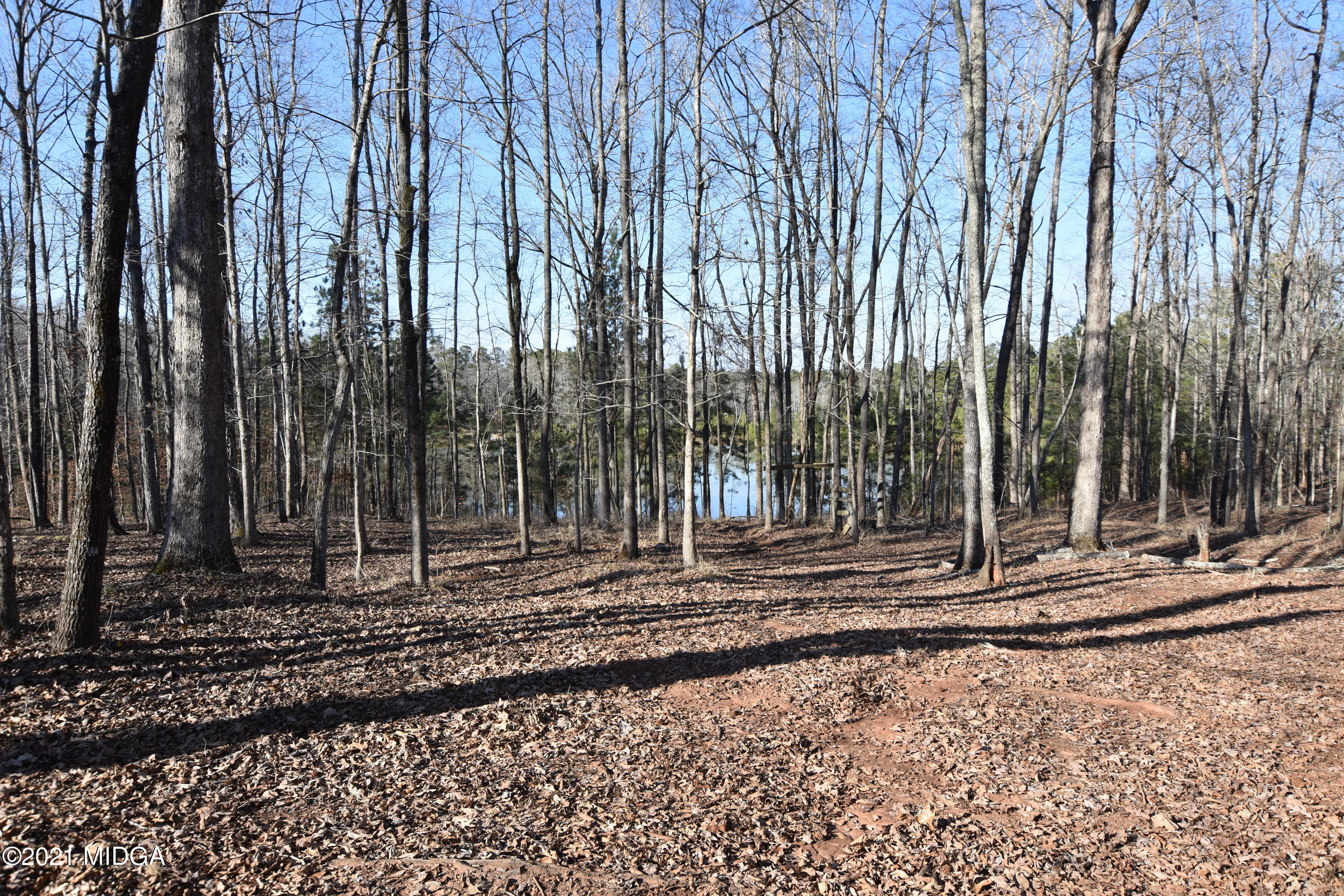 Lot 18 Plentitude Church Road Gray, GA 31032 - Photo 6 of 9 a view of a backyard with green space