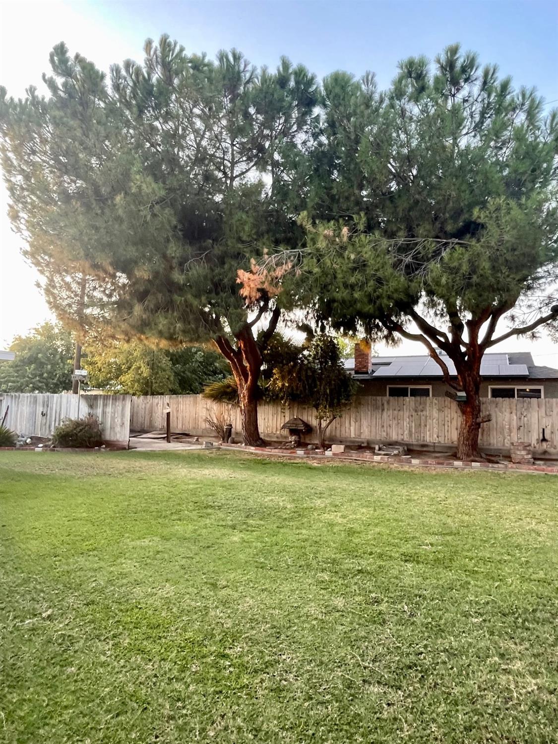 230 West Spring Lane Lemoore, CA 93245 - Photo 13 of 14 a view of a yard with a house in the background