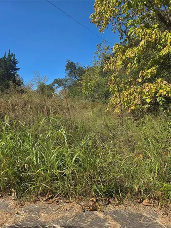 a view of a tree