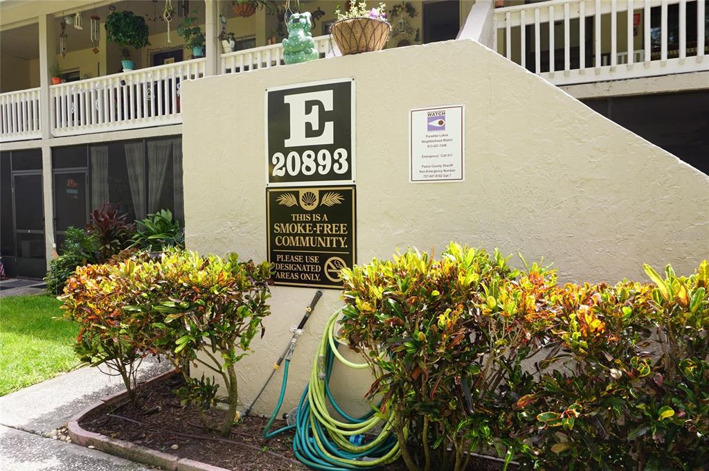 20893 Haulover Cove Road, Unit 8 Lutz, FL 33558 - Photo 2 of 35