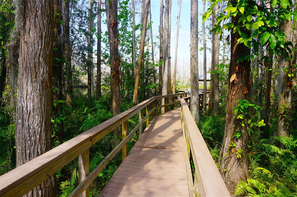 20893 Haulover Cove Road, Unit 8 Lutz, FL 33558 - Photo 30 of 35