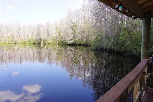 a front view of a house with a garden and a tree
