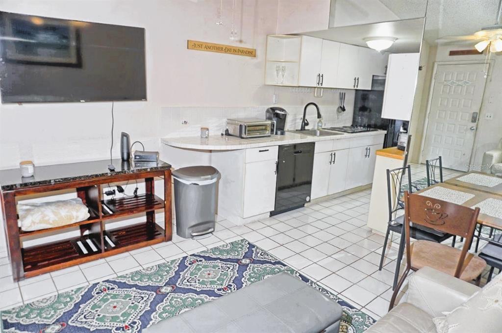 20893 Haulover Cove Road, Unit 8 Lutz, FL 33558 - Photo 10 of 35 a kitchen with a sink cabinets and window