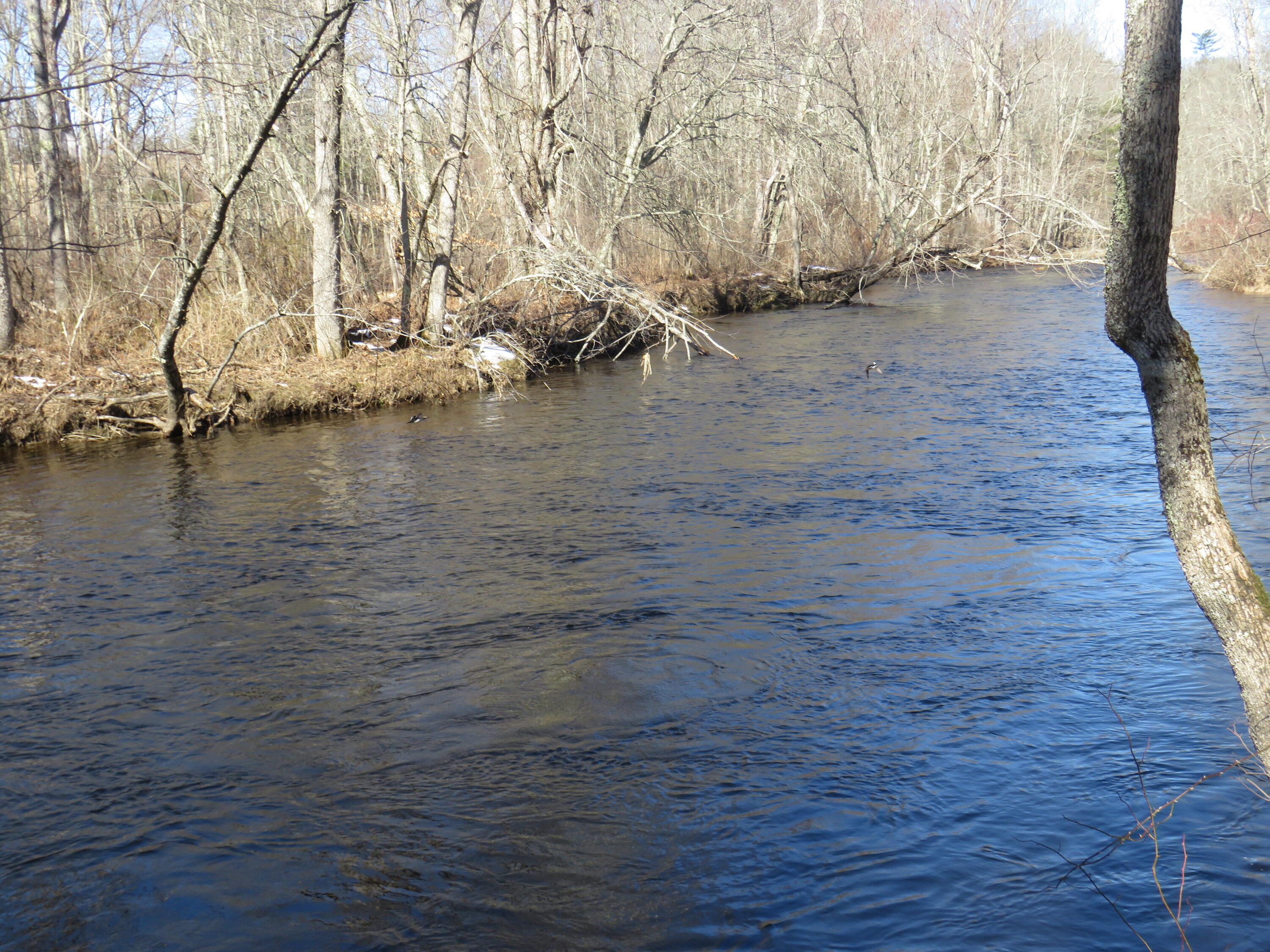 184 Sennebec Road Union, ME 04862 - Photo 2 of 24 IMG_9879