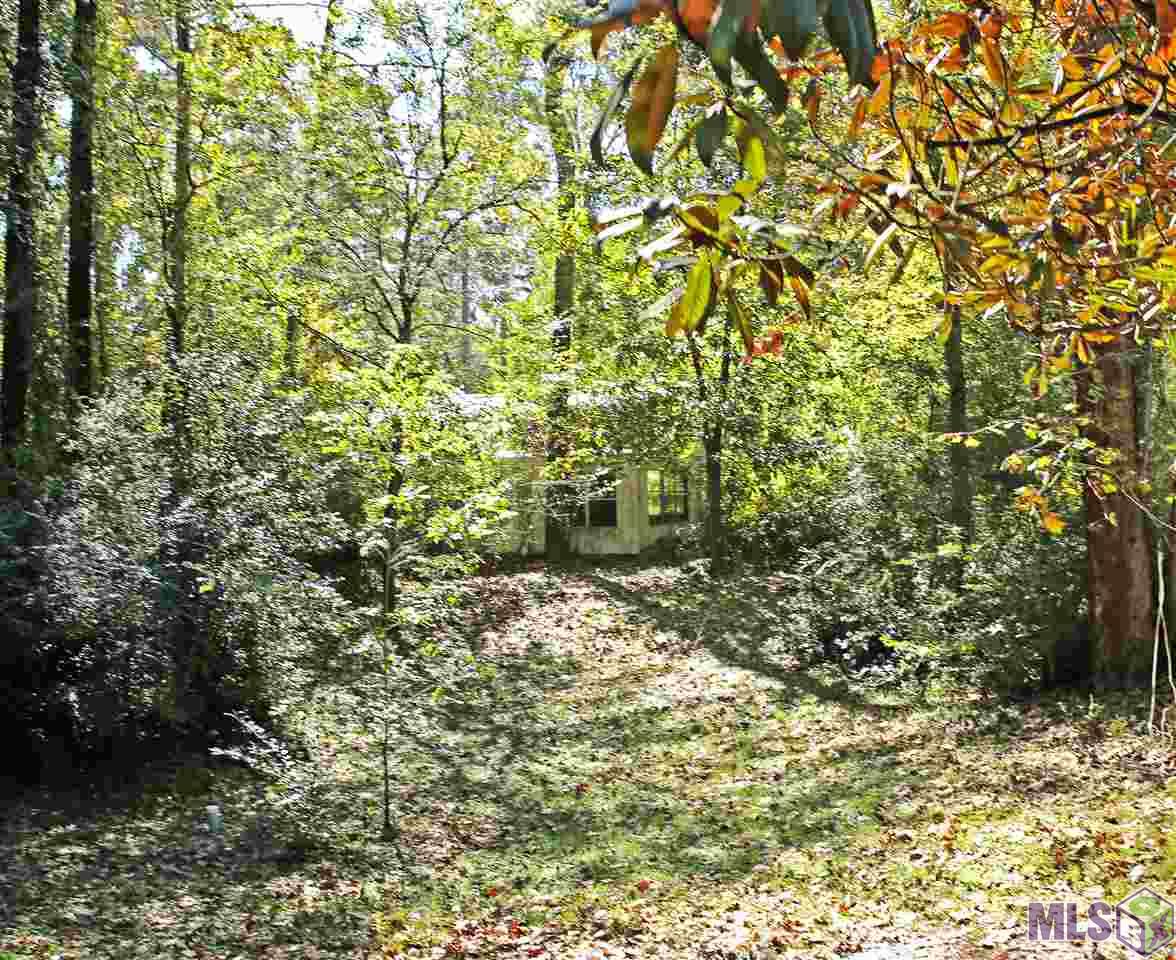 28700 Rae Drive Walker, LA 70785 - Photo 4 of 23 Gallery Image 4