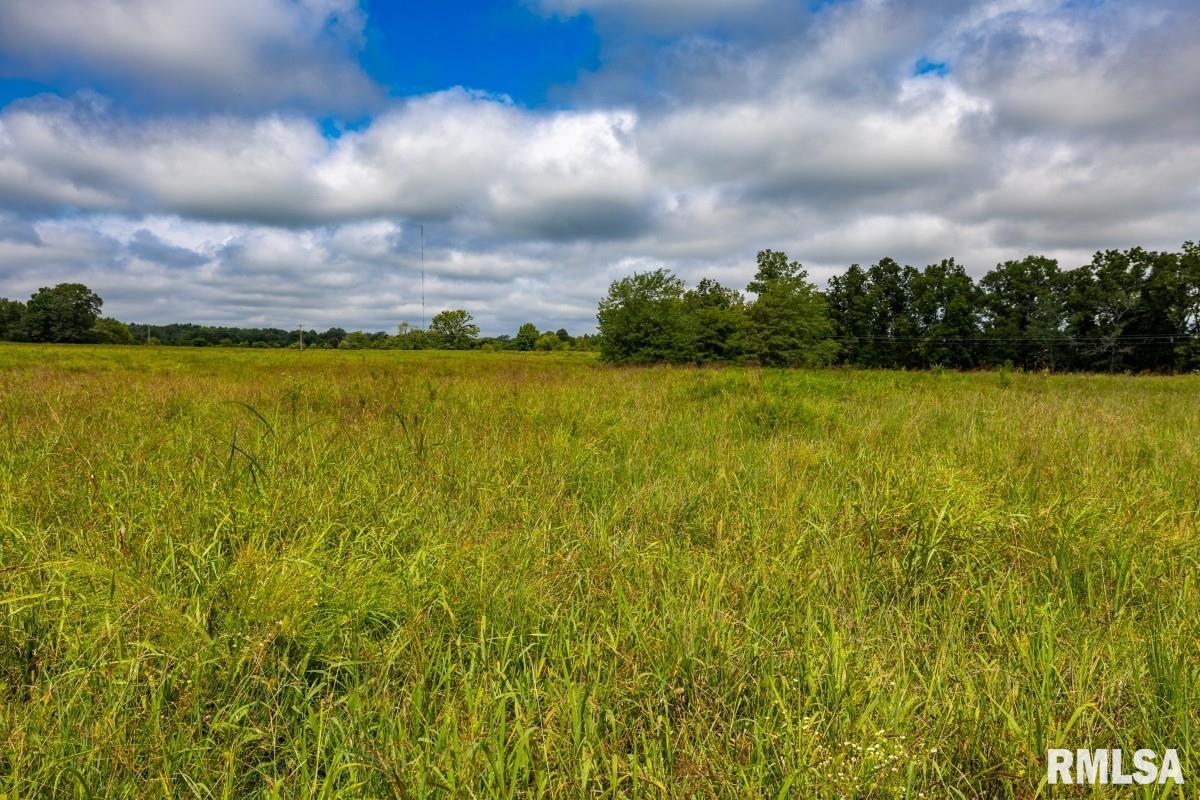 0 Hawkins Road Vienna, IL 62995 - Photo 19 of 36 Gallery Image 19