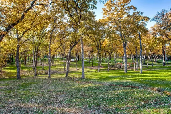 a green field with lots of trees in the background