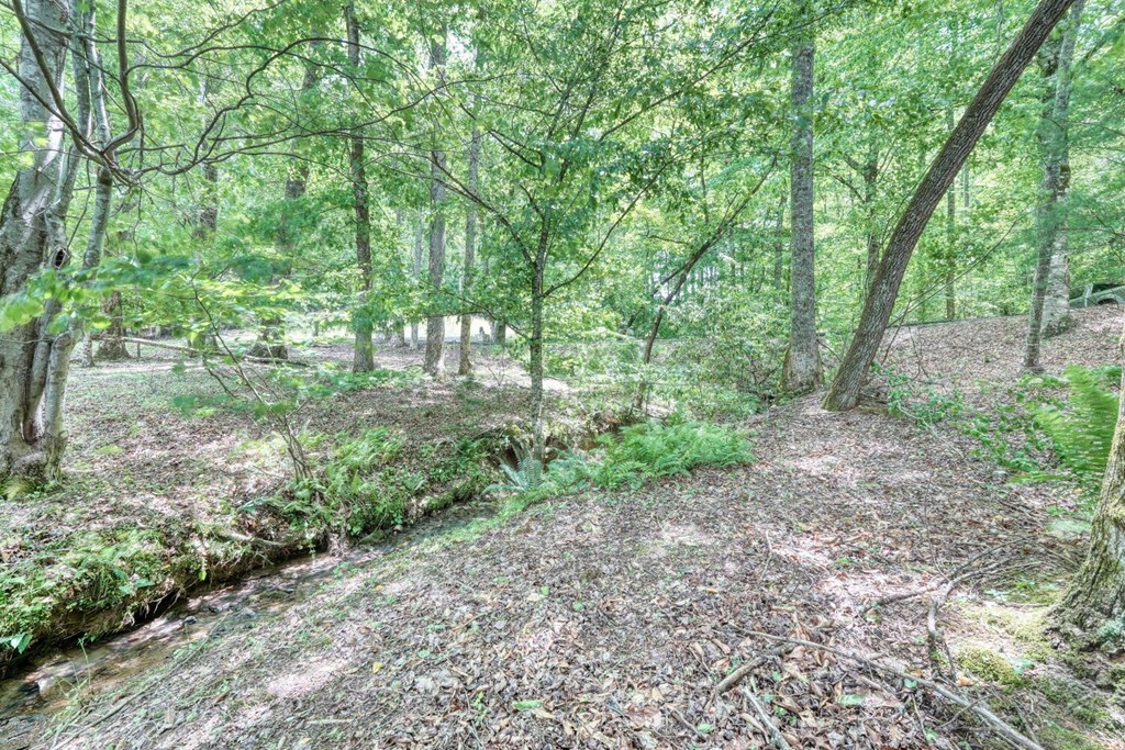 520 Brasstown Road Murphy, NC 28906 - Photo 54 of 61 a big yard with lots of green space and deers