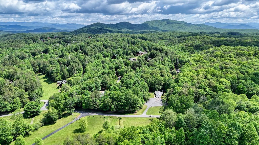 520 Brasstown Road Murphy, NC 28906 - Photo 58 of 61