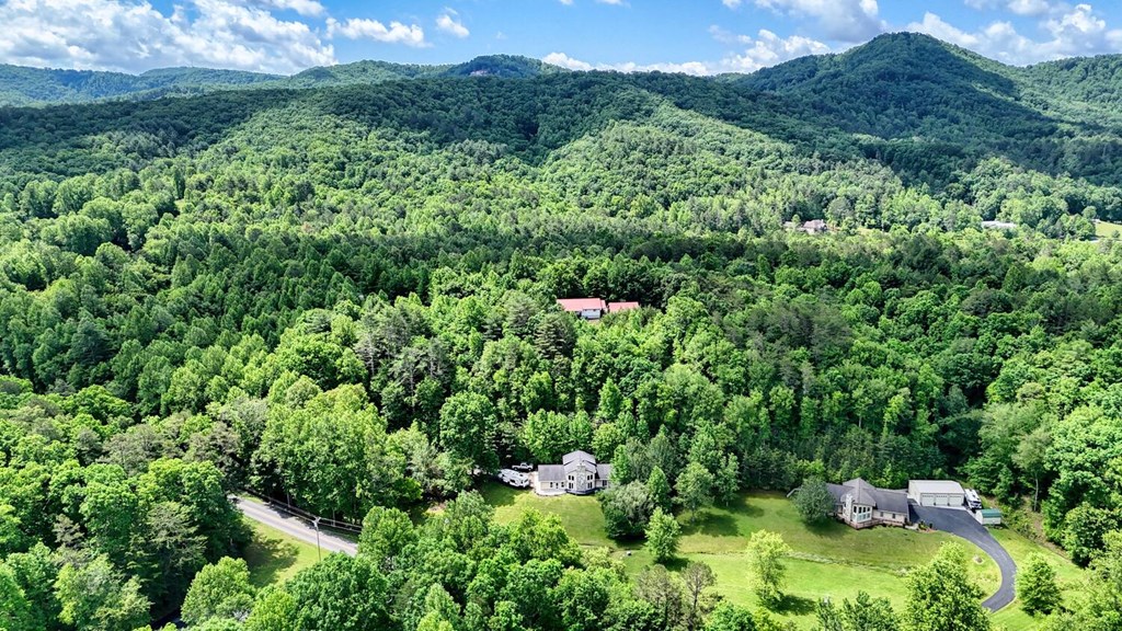 520 Brasstown Road Murphy, NC 28906 - Photo 60 of 61 a view of a forest with a street