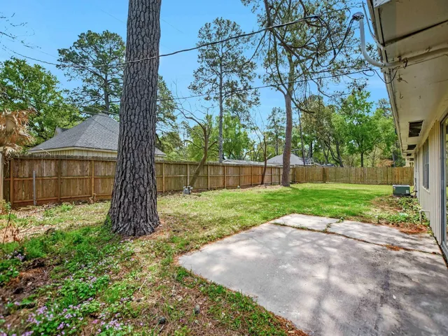 a view of backyard with tree