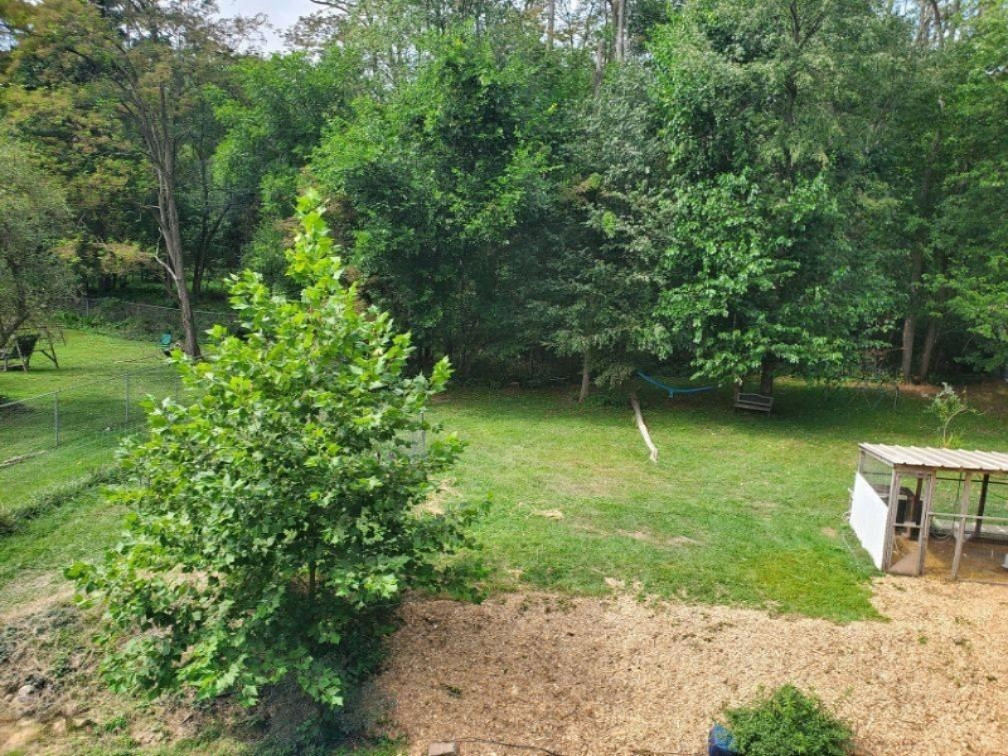2830 Copp Road Niles, MI 49120 - Photo 18 of 18 2830 Copp Rd Backyard 2