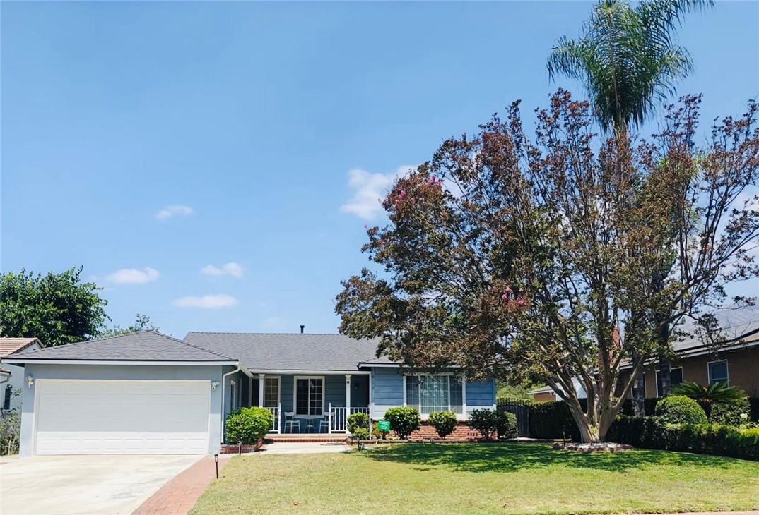 Front Yard/Entrance