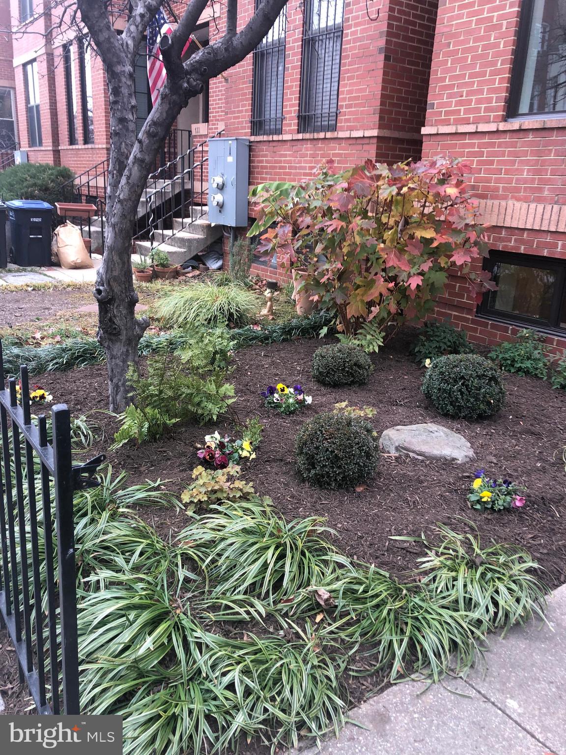 707 8th Street Northeast Washington, DC 20002 - Photo 3 of 45 Front foliage