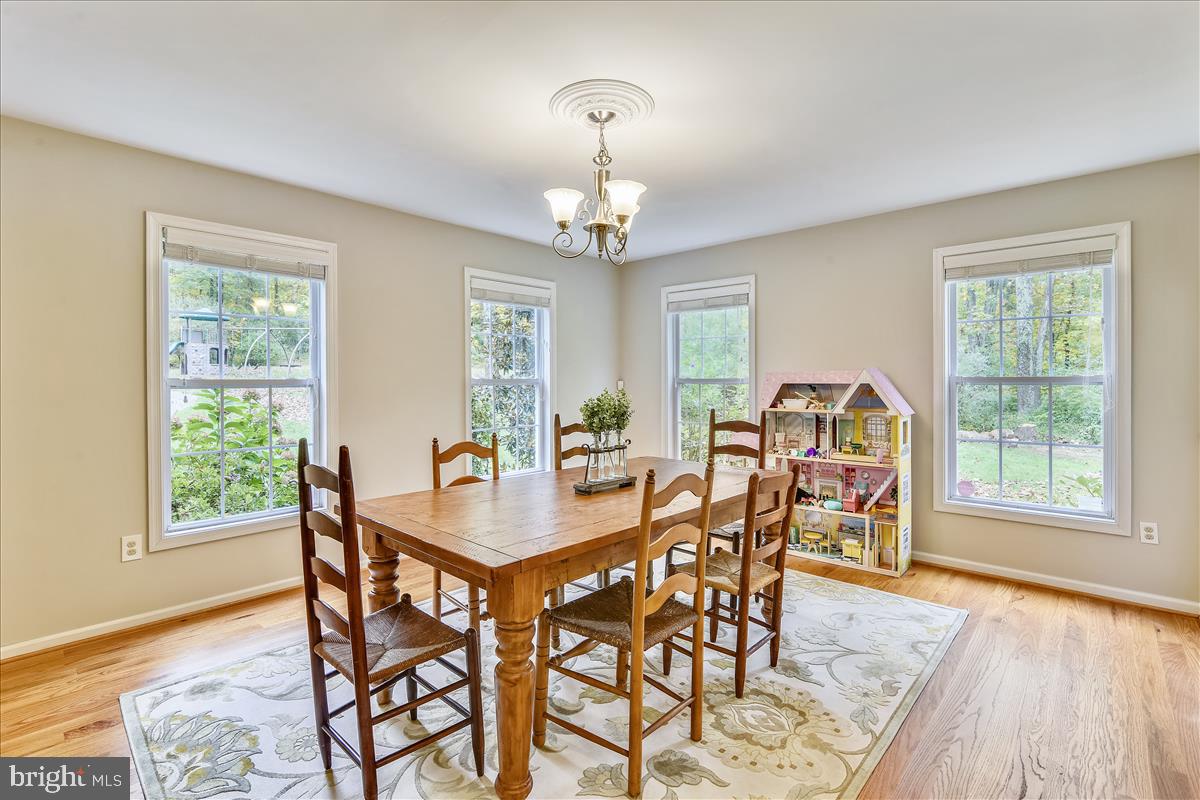 18269 Canby Road Leesburg, VA 20175 - Photo 13 of 62 Warm and Inviting windows and views