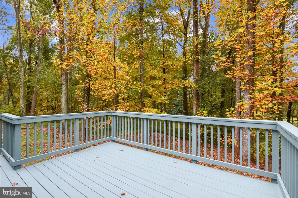 18269 Canby Road Leesburg, VA 20175 - Photo 25 of 62 Property goes beyond fence to stone wall