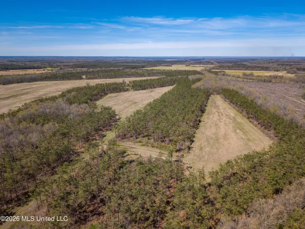 $1,375,000 | Wise Bend Road, Thaxton, MS 38871