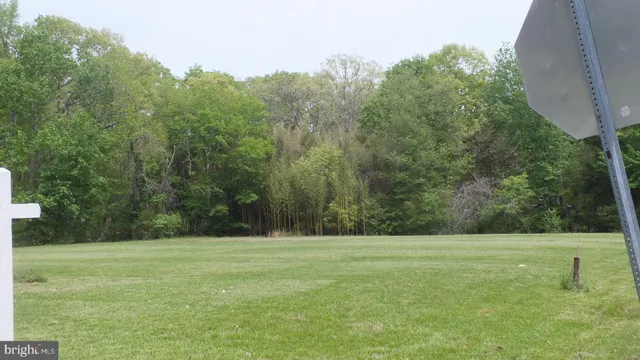 a view of a green field
