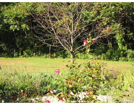 460 Pochassic Road Westfield, MA 01085 - Photo 6 of 20