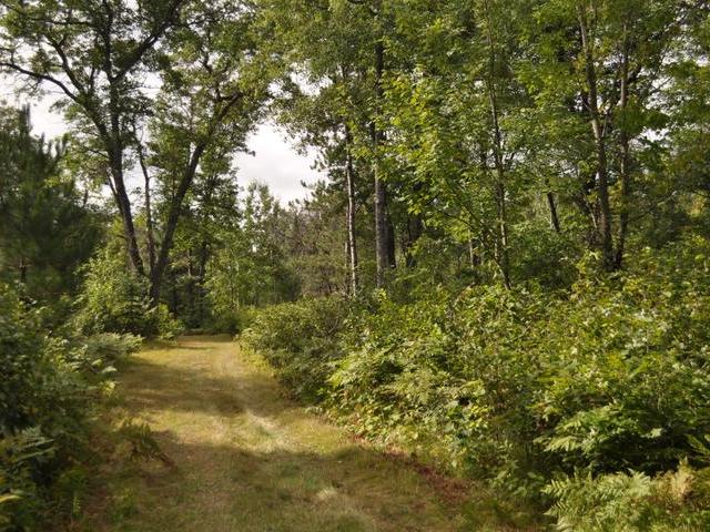 N13269 Flom Road Wausaukee, WI 54177 - Photo 8 of 18 Gallery Image 8