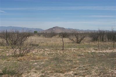 3758 North Joe Hines Road Willcox, AZ 85643 - Photo 4 of 6