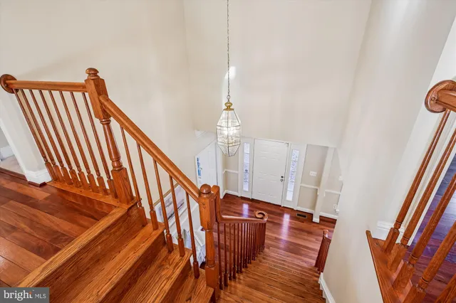 a view of backyard with a garden and plants