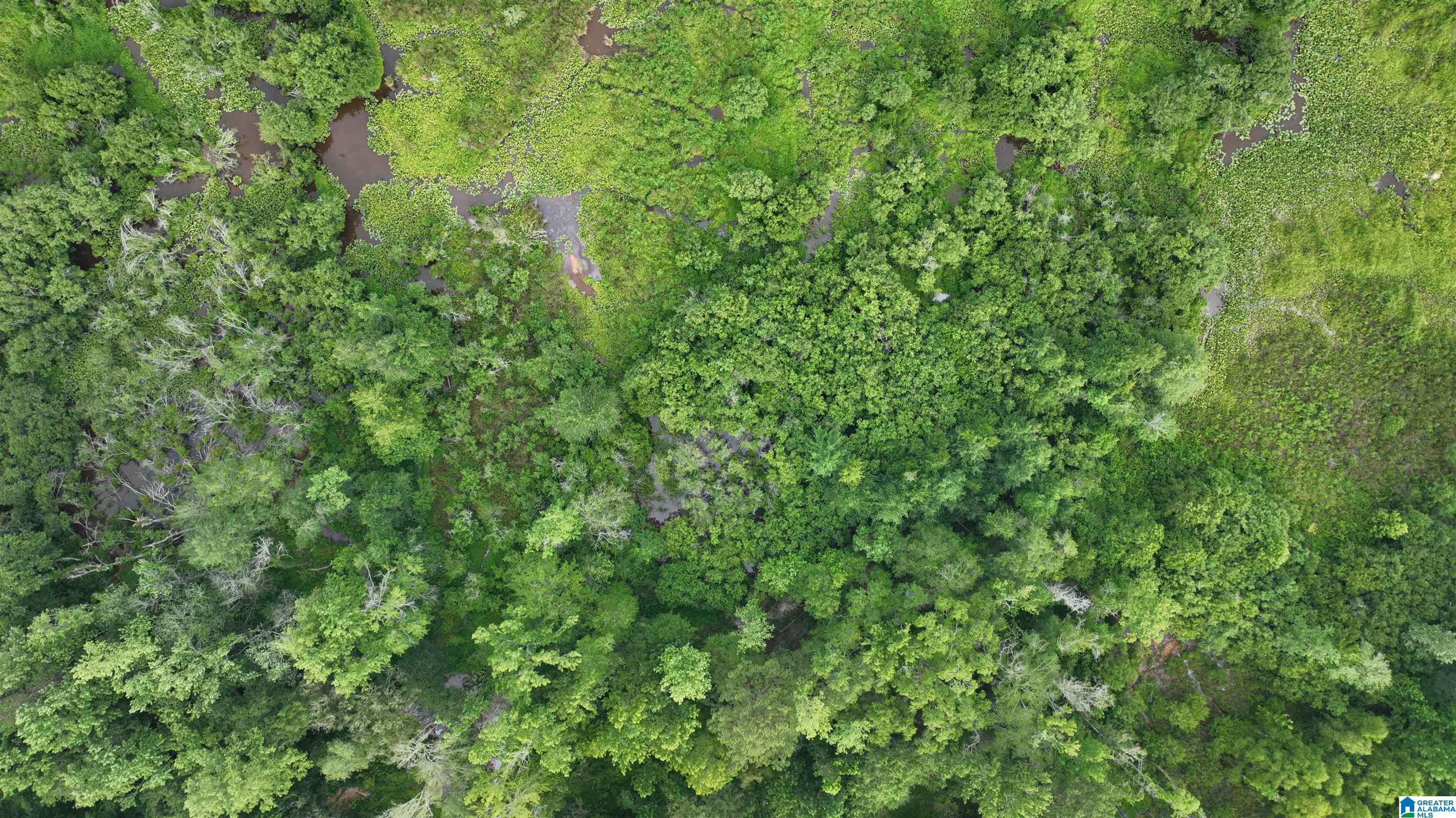 0 Midway Road Tuskegee, AL 36083 - Photo 6 of 30