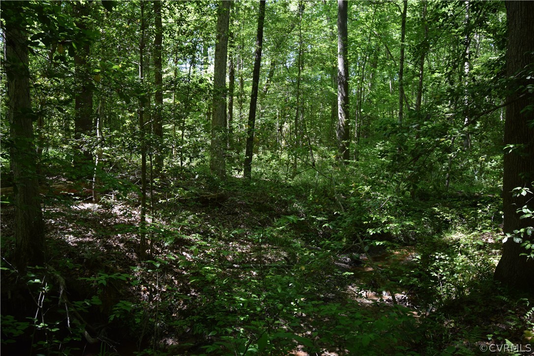 25880 Ridge Lane McKenney, VA 23872 - Photo 31 of 50 Gallery Image 31