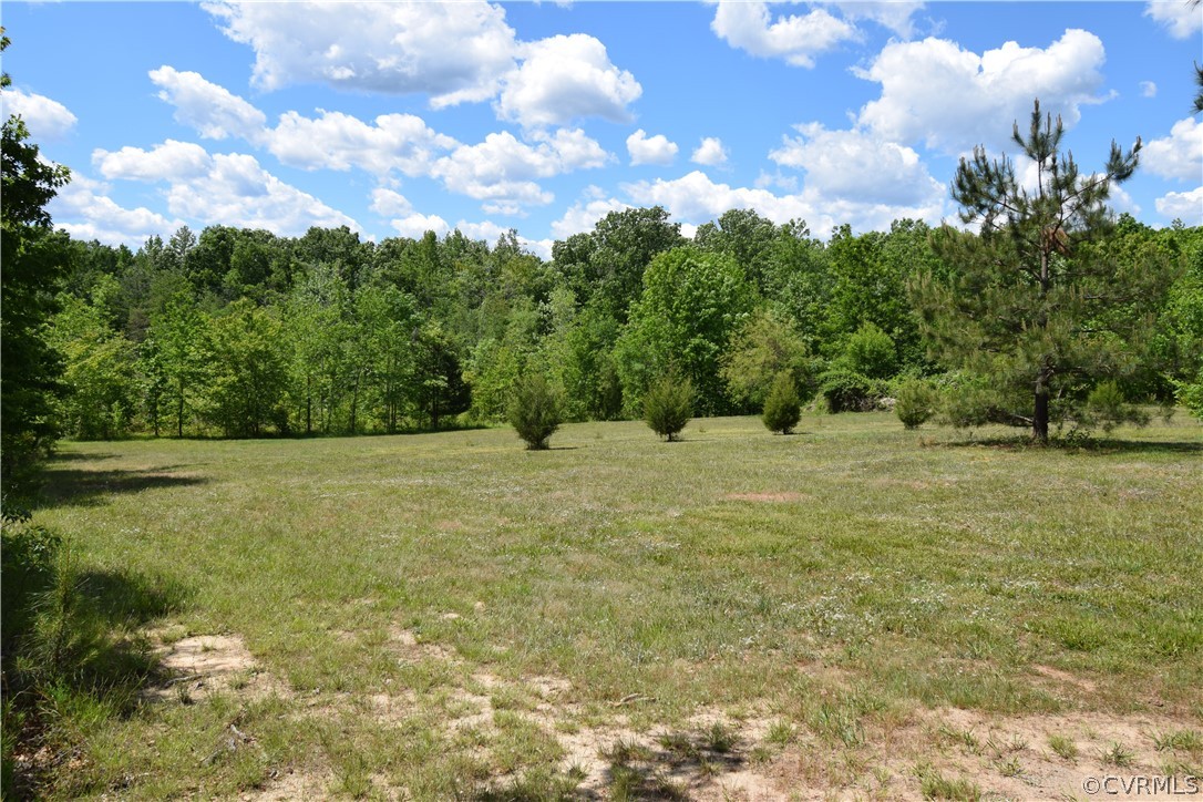 25880 Ridge Lane McKenney, VA 23872 - Photo 43 of 50 Gallery Image 43