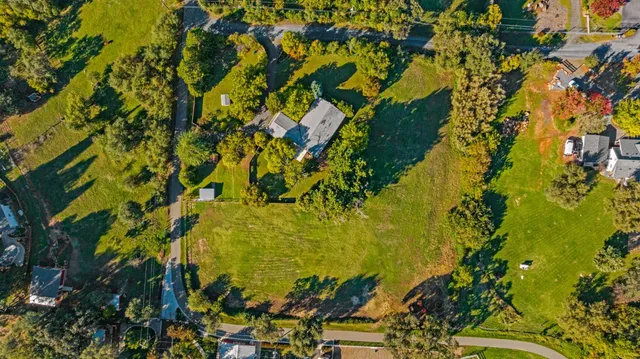 a view of a large yard with plants and large trees