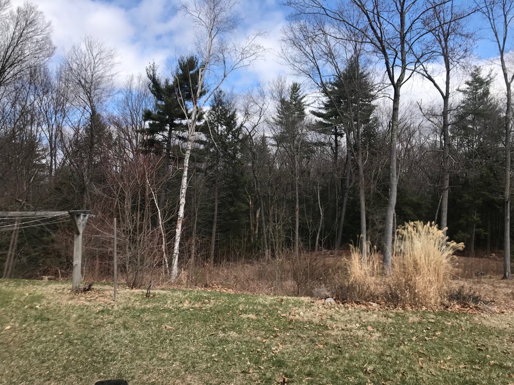 121 Wyben Road Westfield, MA 01085 - Photo 4 of 4