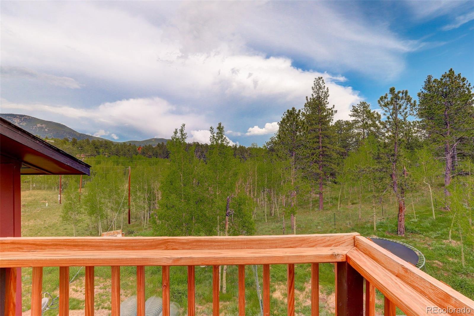 183 North Random Road Bailey, CO 80421 - Photo 21 of 25