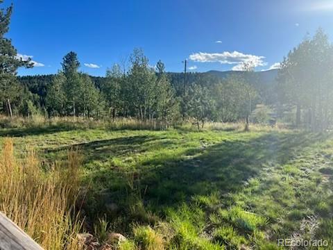 183 North Random Road Bailey, CO 80421 - Photo 22 of 25