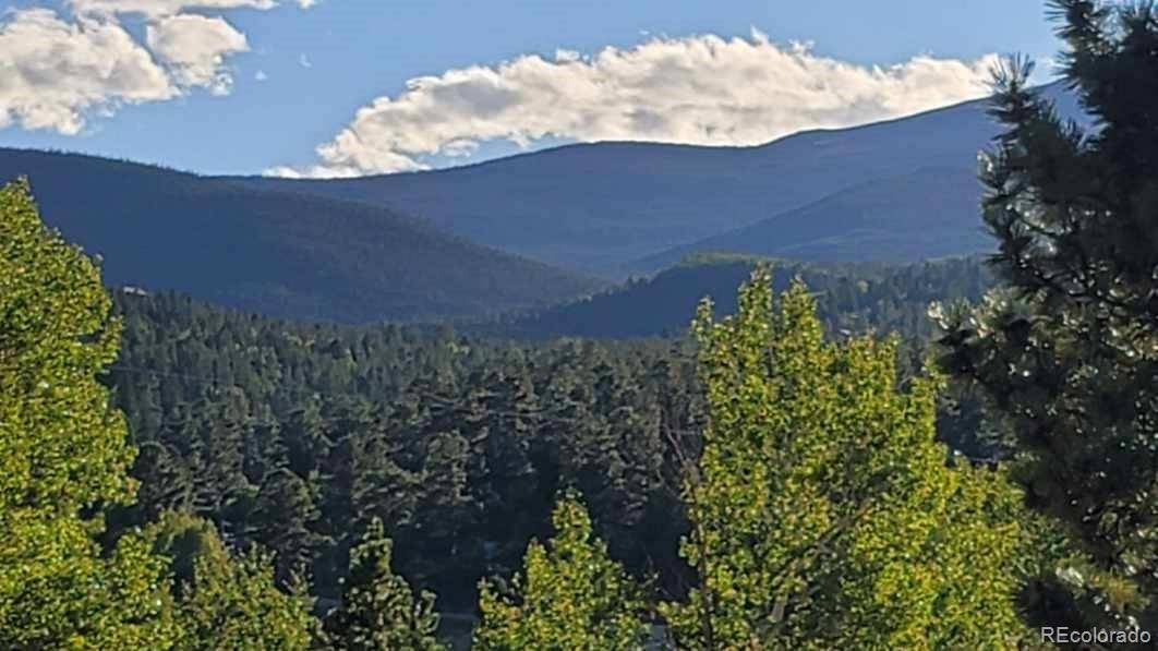 183 North Random Road Bailey, CO 80421 - Photo 23 of 25