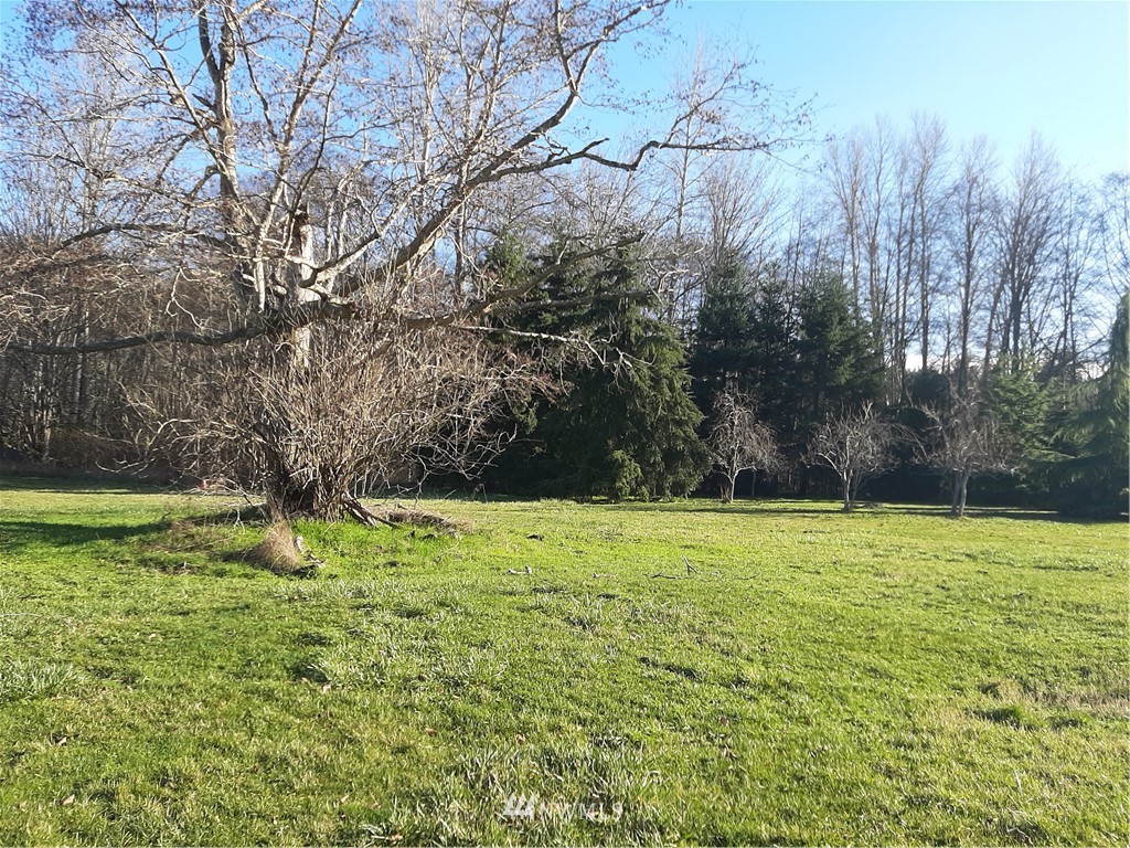 9999 South Ridge View Drive Port Angeles, WA 98362 - Photo 4 of 9 Gallery Image 4