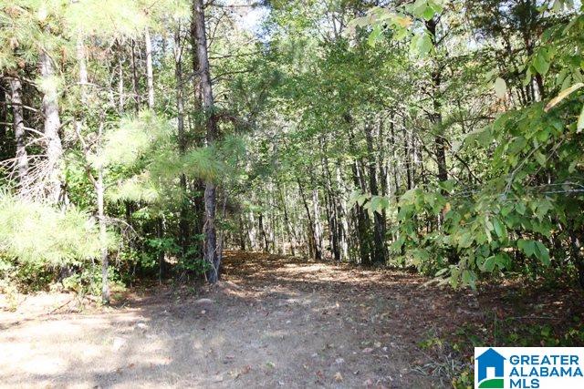 0 County Road 928, Unit 19 Delta, AL 36258 - Photo 40 of 43
