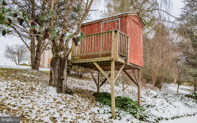 a view of road and trees