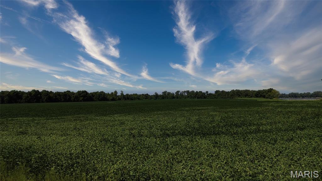 67 St Johns Island Road Washington, MO 63090 - Photo 2 of 3