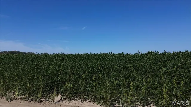 $1,005,000 | 67 St Johns Island Road, Washington, MO 63090