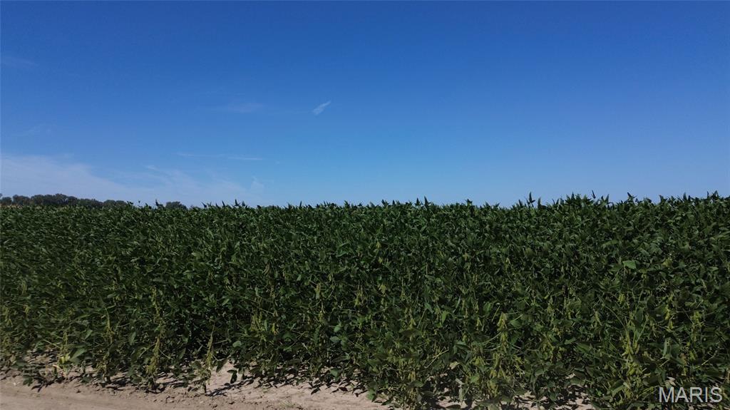 67 St Johns Island Road Washington, MO 63090 - Photo 3 of 3