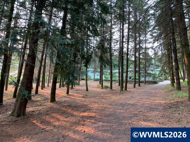 6135 Skyline Road South Salem, OR 97306 - Photo 33 of 48
