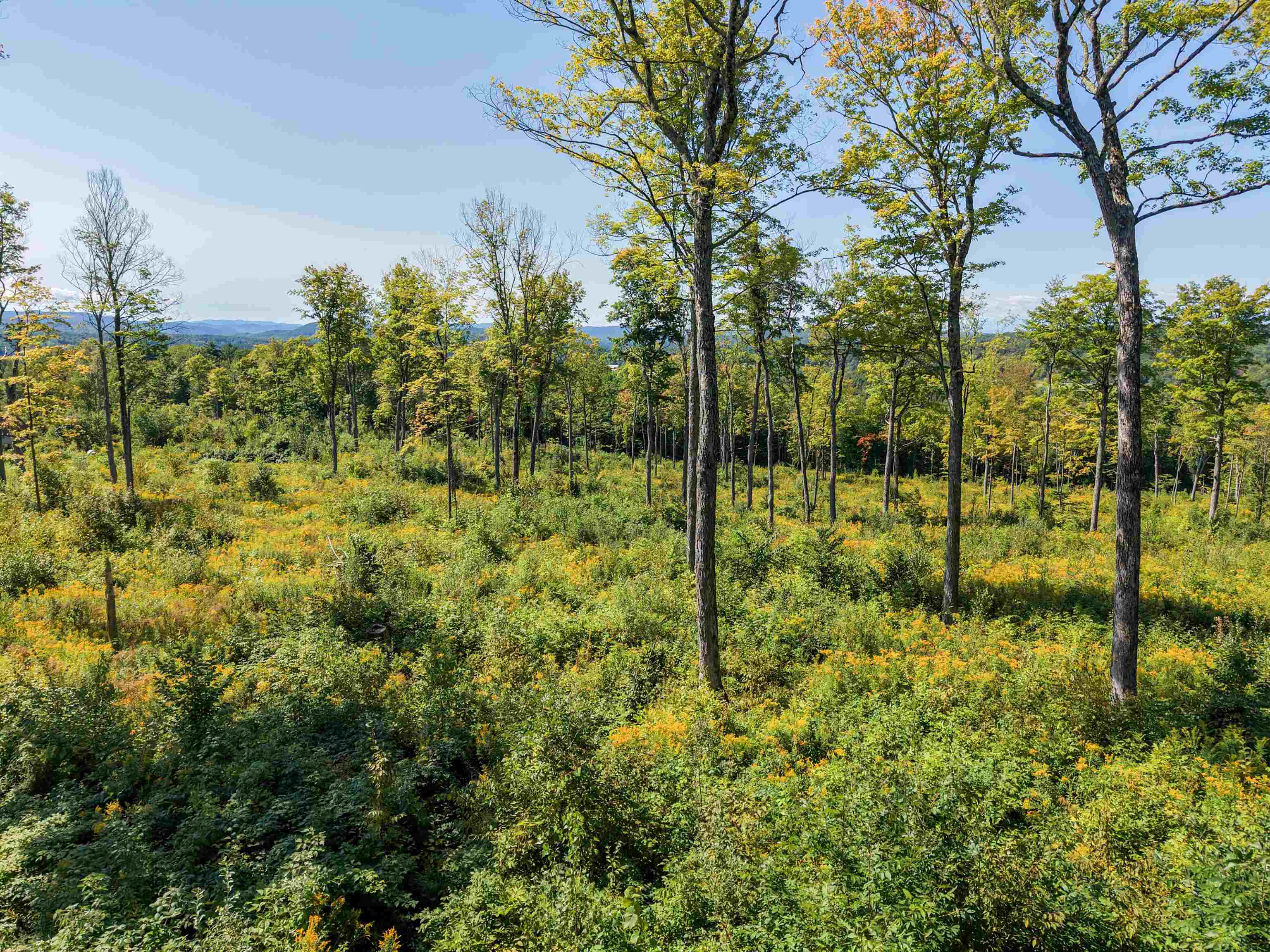 177 Cilley Hill Road, Unit 6 Jericho, VT 05465 - Photo 1 of 17 Gallery Image 1