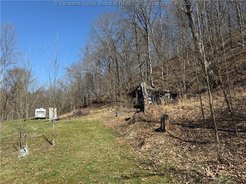 464 Butcher Hollow Road Ravenswood, WV 26164 - Photo 3 of 9 Gallery Image 3