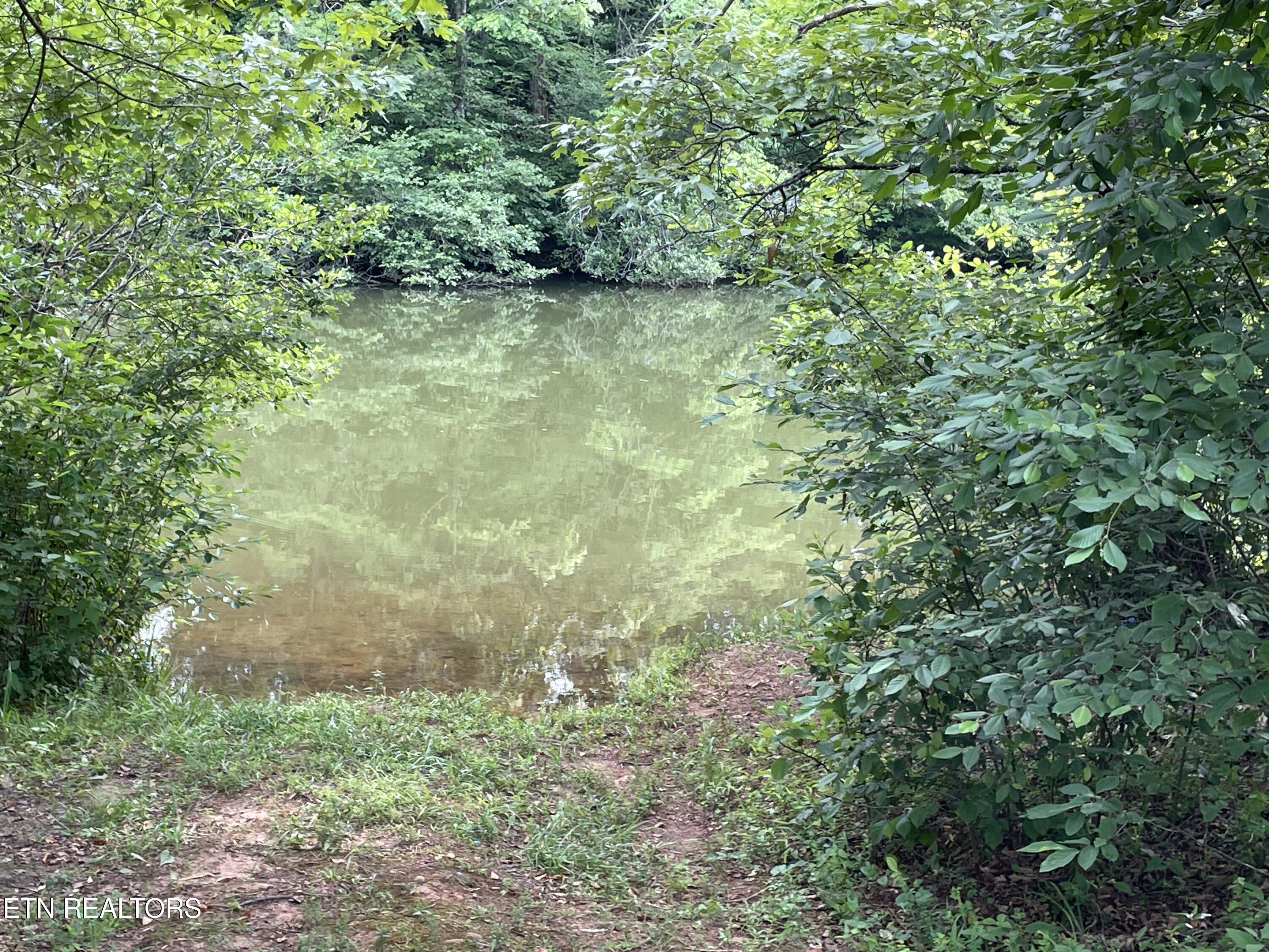 Millsaps Road Vonore, TN 37885 - Photo 18 of 18 IMG_1817