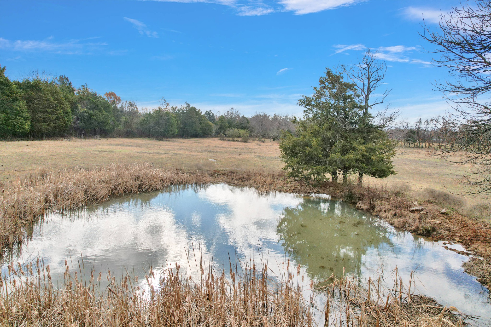 0 East Gum Road Murfreesboro, TN 37127 - Photo 8 of 18 Gallery Image 8