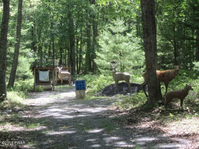 110-111 Dorys Road Dingmans Ferry, PA 18328 - Photo 40 of 41
