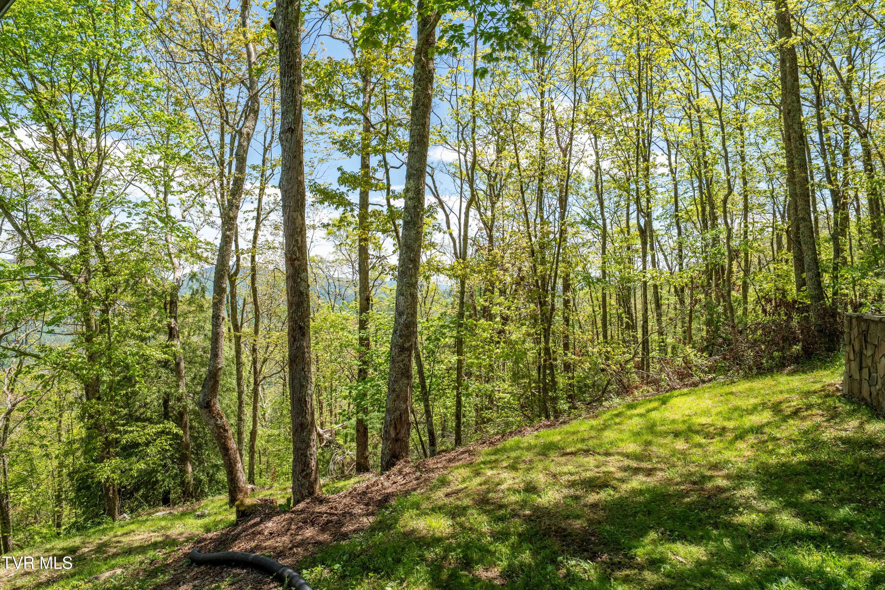 1527 Stone Mountain Road Trade, TN 37691 - Photo 25 of 129 1527 Stone Mountain Road (37 of 122)