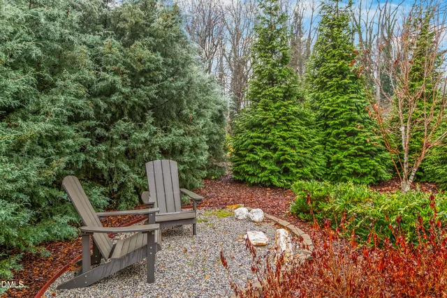a view of a chair and fire pit in the backyard of a house