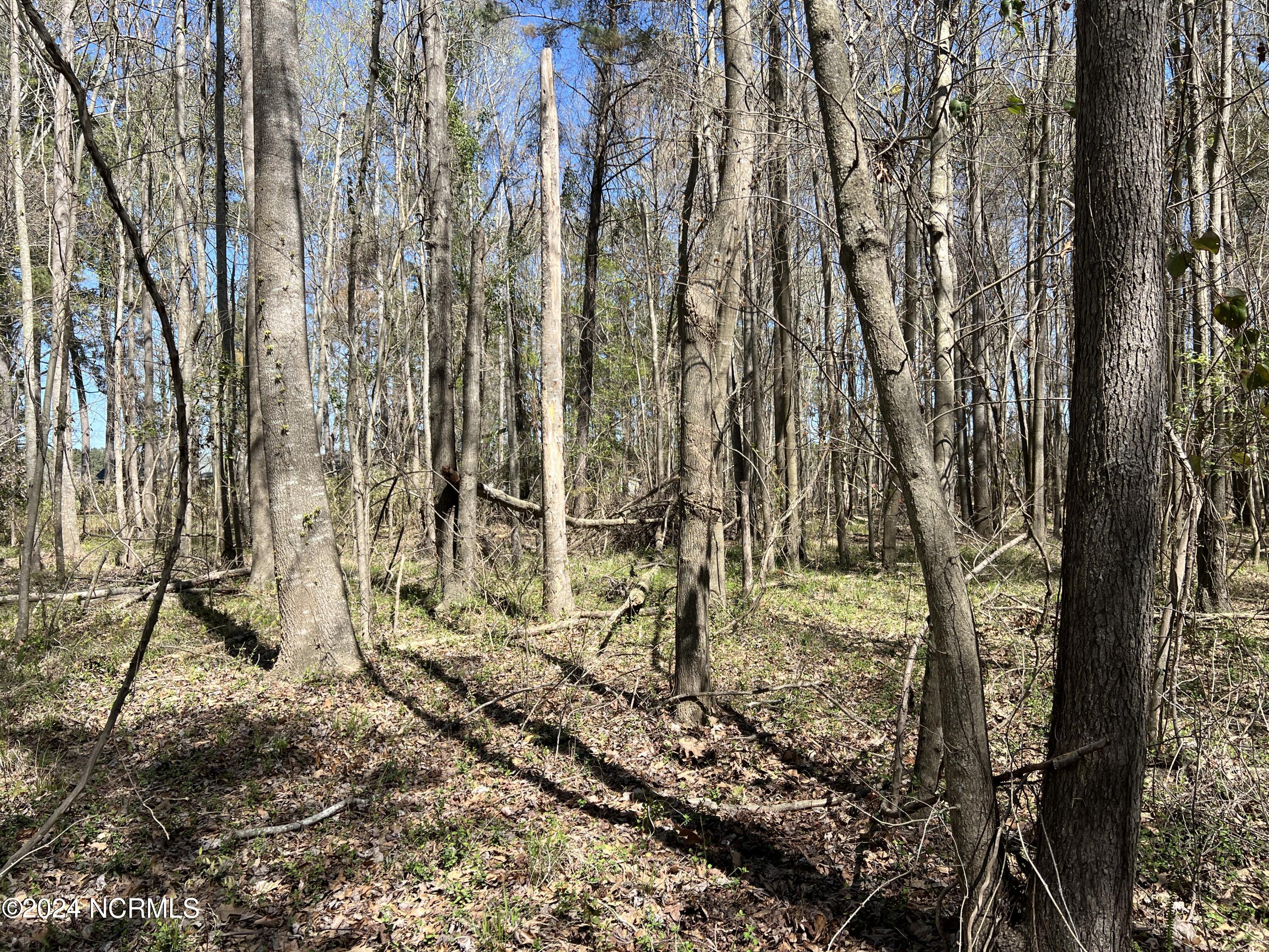 Lot #0 Sr 1736 Road Bath, NC 27808 - Photo 3 of 13 IMG_2693