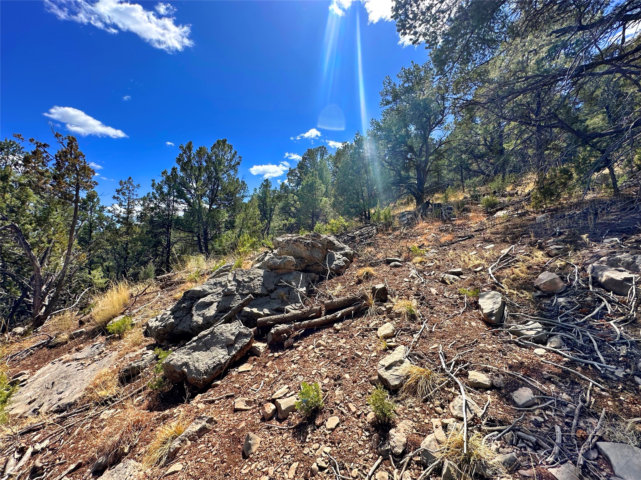 53 County Rd B44C Pecos, NM 87552 - Photo 20 of 24